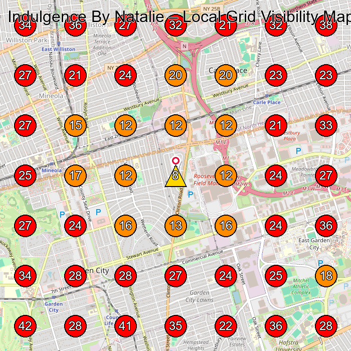 Indulgence By Natalie GeoGrid visibility map for Plastic Surgery Clinic in Mineola